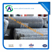 CE, SGS, RoHS Marks High Tensile Galvanized PVC Coated Hexagonal Wire Mesh